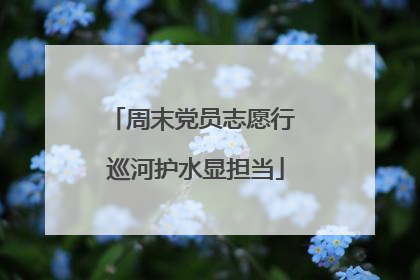 周末党员志愿行 巡河护水显担当