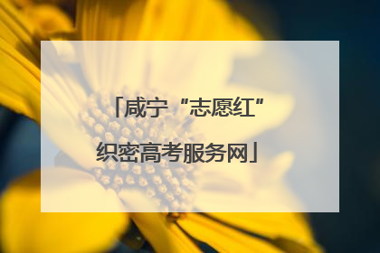 咸宁“志愿红”织密高考服务网