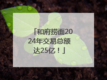 和府捞面2024年交易总额达25亿！