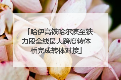 哈伊高铁哈尔滨至铁力段全线最大跨度转体桥完成转体对接