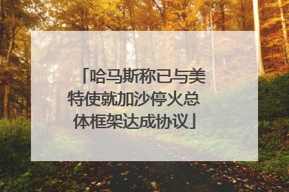 哈马斯称已与美特使就加沙停火总体框架达成协议