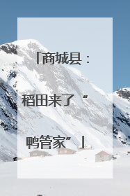 商城县：稻田来了“鸭管家”