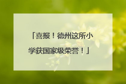 喜报！德州这所小学获国家级荣誉！