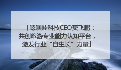 嗯噢哇科技CEO窦飞鹏：共创旅游专业能力认知平台，激发行业“自生长”力量