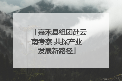 嘉禾县组团赴云南考察 共探产业发展新路径