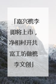 嘉兴槜李即将上市，净相村开共富工坊做槜李文创