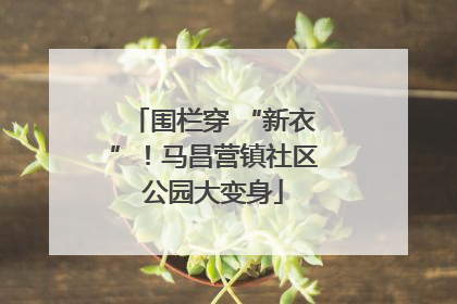 围栏穿 “新衣”！马昌营镇社区公园大变身