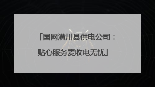 国网潢川县供电公司：贴心服务麦收电无忧