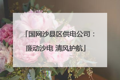 国网沙县区供电公司：廉动沙电 清风护航