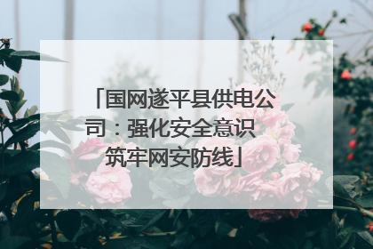 国网遂平县供电公司：强化安全意识 筑牢网安防线