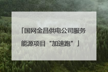 国网金昌供电公司服务能源项目“加速跑”