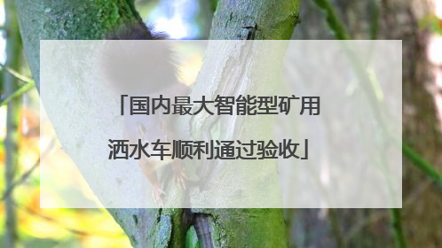 国内最大智能型矿用洒水车顺利通过验收