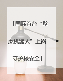 国际首台“壁虎机器人”上岗守护核安全