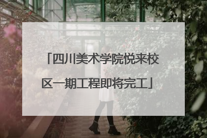 四川美术学院悦来校区一期工程即将完工