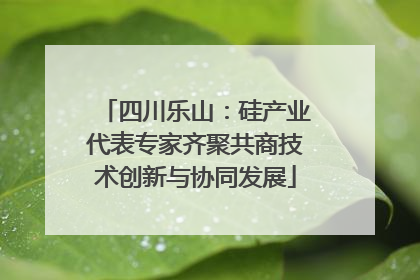四川乐山：硅产业代表专家齐聚共商技术创新与协同发展