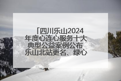 四川乐山2024年度心连心服务十大典型公益案例公布 乐山北站更名、绿心路井盖治理等上榜