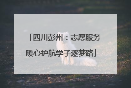 四川彭州：志愿服务暖心护航学子逐梦路