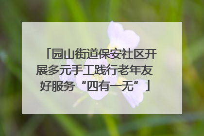 园山街道保安社区开展多元手工践行老年友好服务“四有一无”