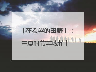 在希望的田野上：三夏时节丰收忙