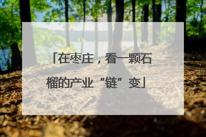 在枣庄，看一颗石榴的产业“链”变