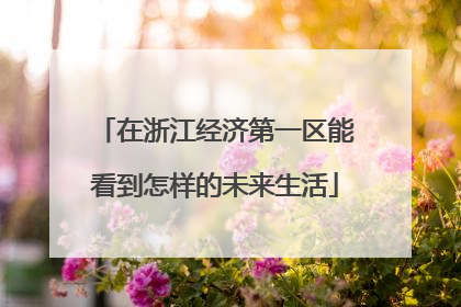 在浙江经济第一区能看到怎样的未来生活