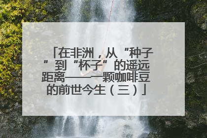 在非洲，从“种子”到“杯子”的遥远距离——一颗咖啡豆的前世今生（三）
