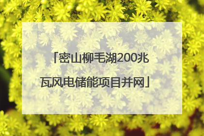 密山柳毛湖200兆瓦风电储能项目并网