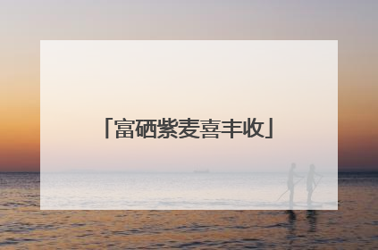 富硒紫麦喜丰收
