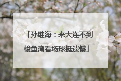 孙继海：来大连不到梭鱼湾看场球挺遗憾