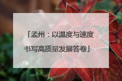 孟州：以温度与速度书写高质量发展答卷