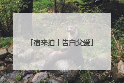 宿来拍丨告白父爱