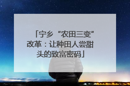 宁乡“农田三变”改革：让种田人尝甜头的致富密码
