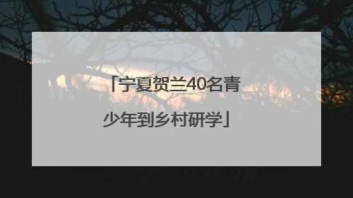 宁夏贺兰40名青少年到乡村研学