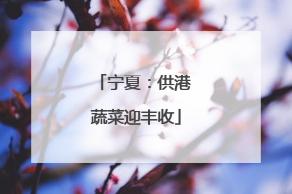 宁夏：供港蔬菜迎丰收