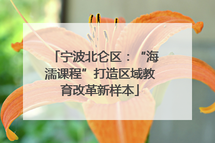 宁波北仑区：“海濡课程”打造区域教育改革新样本