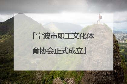 宁波市职工文化体育协会正式成立