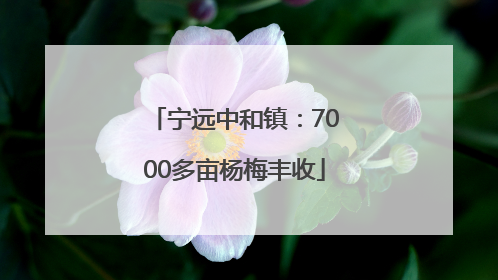 宁远中和镇：7000多亩杨梅丰收