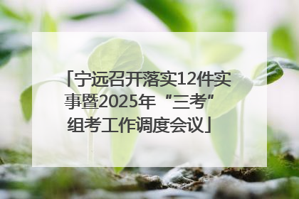 宁远召开落实12件实事暨2025年“三考”组考工作调度会议
