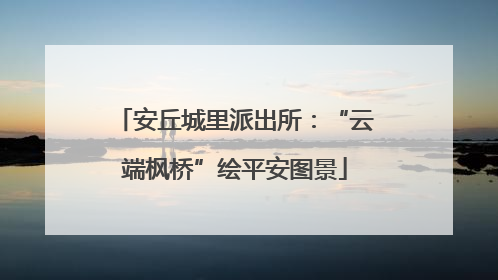 安丘城里派出所：“云端枫桥”绘平安图景
