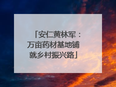 安仁黄林军：万亩药材基地铺就乡村振兴路