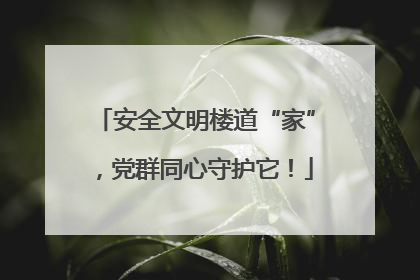 安全文明楼道“家”，党群同心守护它！