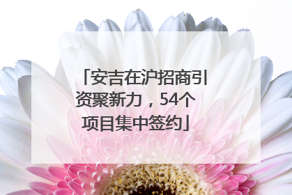 安吉在沪招商引资聚新力，54个项目集中签约