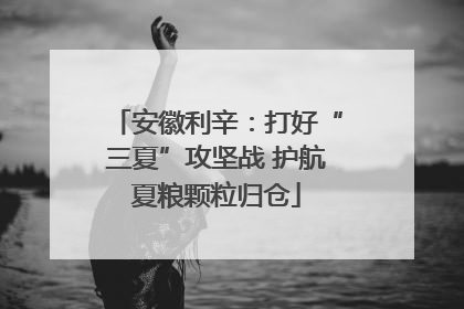 安徽利辛：打好“三夏”攻坚战 护航夏粮颗粒归仓