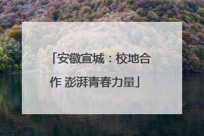 安徽宣城：校地合作 澎湃青春力量