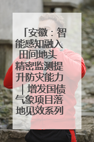 安徽：智能感知融入田间地头 精密监测提升防灾能力｜增发国债气象项目落地见效系列报道