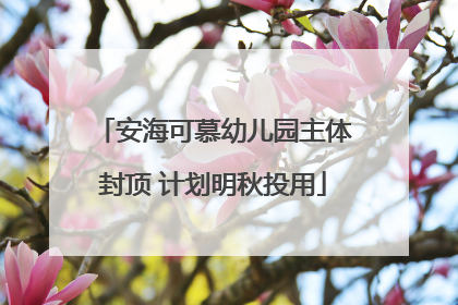 安海可慕幼儿园主体封顶 计划明秋投用
