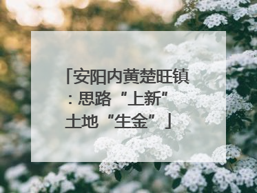 安阳内黄楚旺镇：思路“上新” 土地“生金”