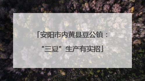 安阳市内黄县豆公镇：“三夏”生产有实招