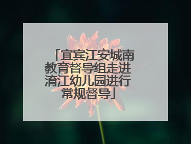 宜宾江安城南教育督导组走进淯江幼儿园进行常规督导