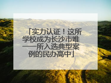 实力认证！这所学校成为长沙市唯一一所入选典型案例的民办高中